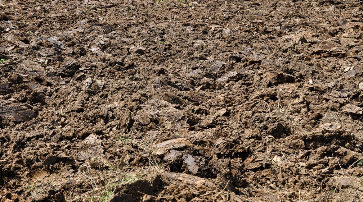 tobrfv soil longevity remediation disinfection
